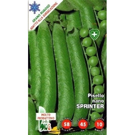 guisante sprinter - semillas ecologicas