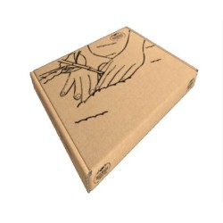 Caja semillas tomates cherry