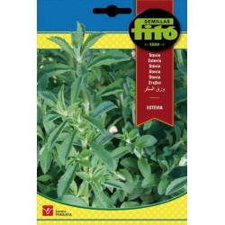 semillas de stevia
