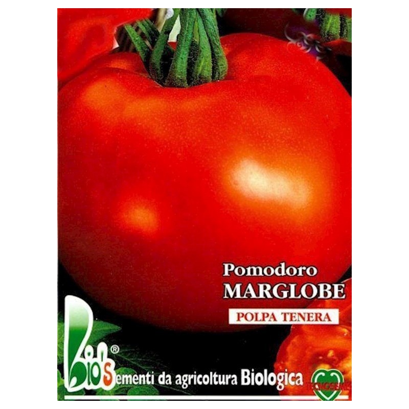 tomate marglobe - semillas ecolÃ³gicas