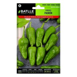 pimiento de PadrÃ³n - Batlle