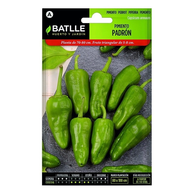 pimiento de PadrÃ³n - Batlle
