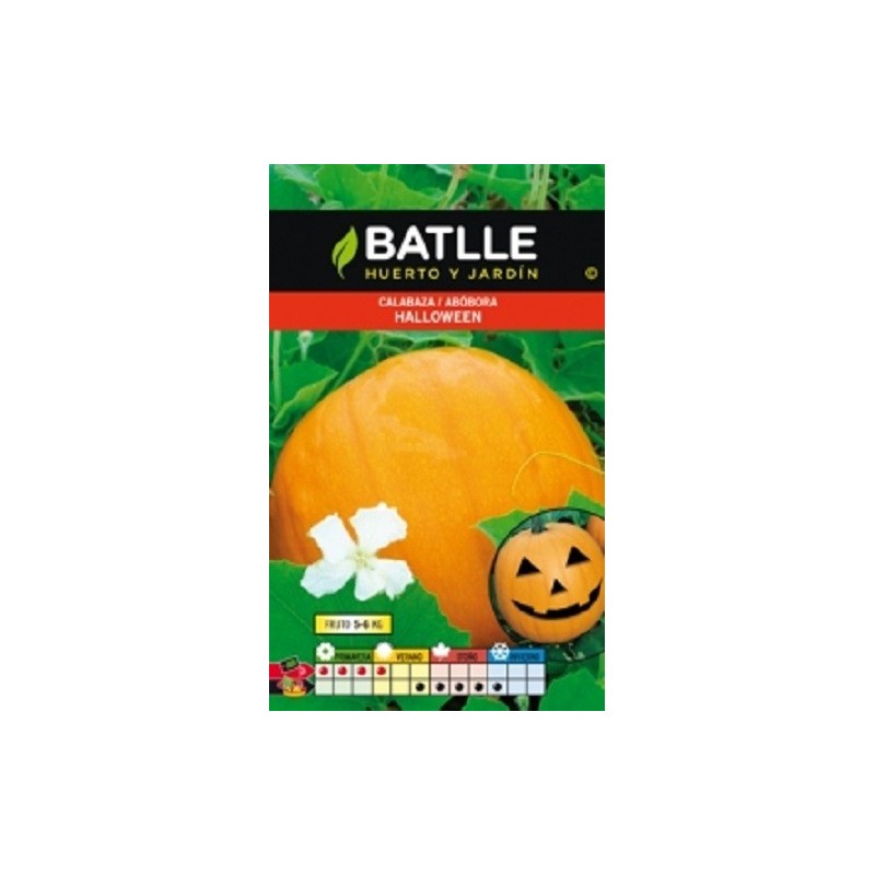calabaza halloween