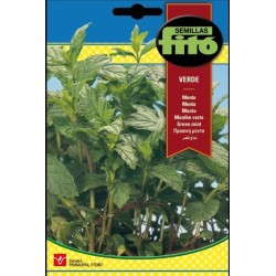 menta verde (Mentha piperita)