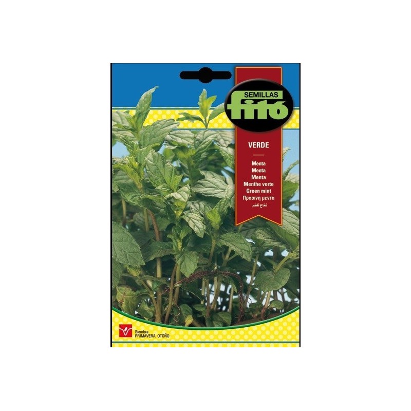menta verde (Mentha piperita)