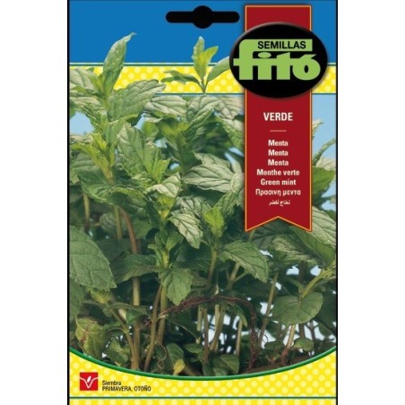 menta verde (Mentha piperita)