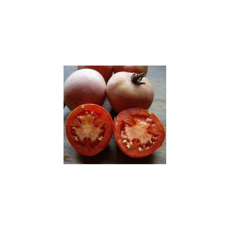 semillas ecolÃ³gicas de tomate de colgar mala cara