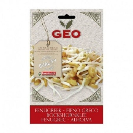 fenogreco para germinar geo