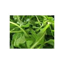 rucula selvatica dentada