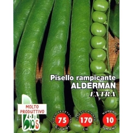 guisante alderman - semillas ecologicas