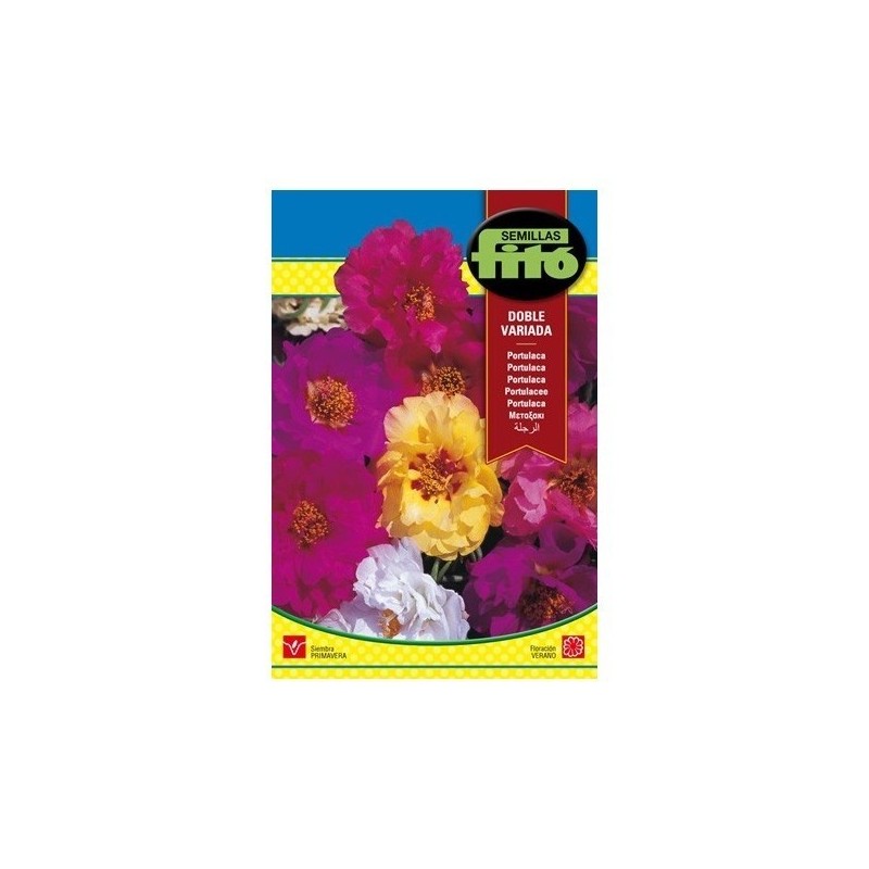 Portulaca doble variada - semillas Fito