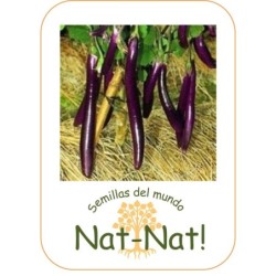 Berenjena farmers long F1