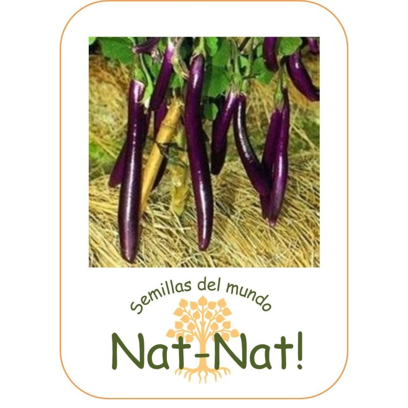 Berenjena farmers long F1