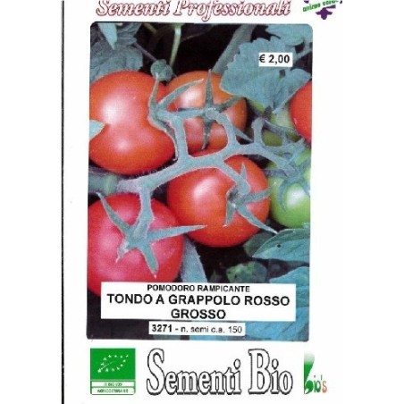 semillas ecologicas de tomate rama