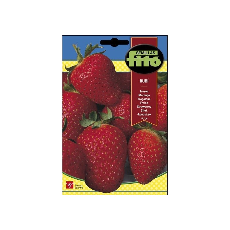 FresÃ³n Alexandria