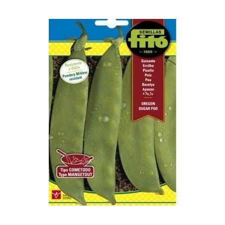 guisante oregon sugar (tirabeque) FitÃ³