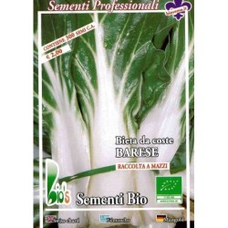 acelga de penca larga de BarÃ­ - semillas ecolÃ³gicas