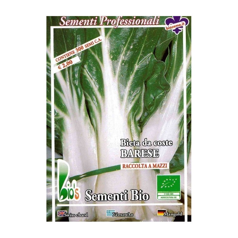 acelga de penca larga de BarÃ­ - semillas ecolÃ³gicas