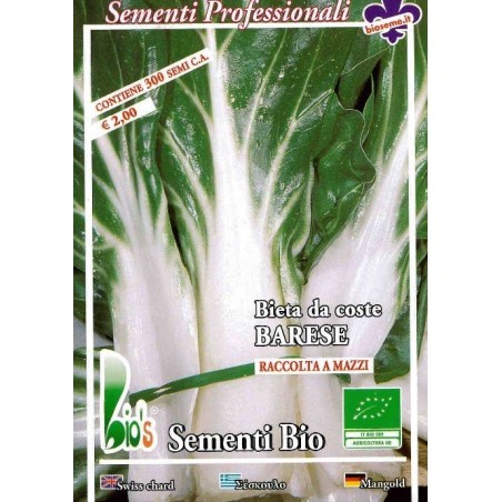 acelga de penca larga de BarÃ­ - semillas ecolÃ³gicas