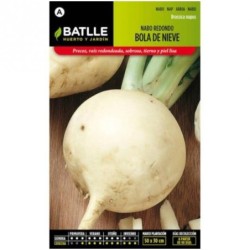 nabo redondo bola de nieve