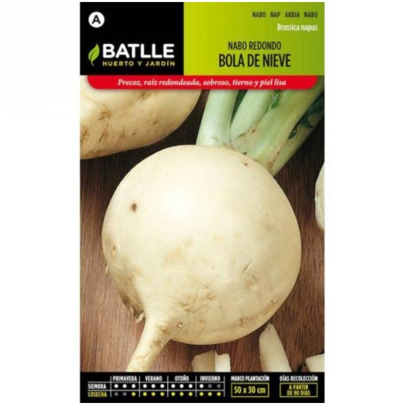nabo redondo bola de nieve
