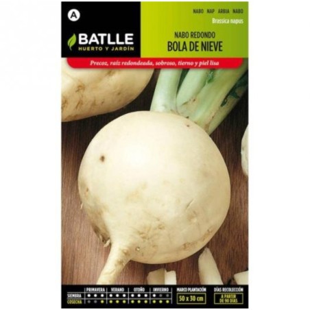 nabo redondo bola de nieve