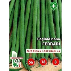 judÃ­a redonda ferrari - semillas ecologicas