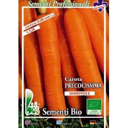 zanahoria touchon (semillas ecolÃ³gicas)