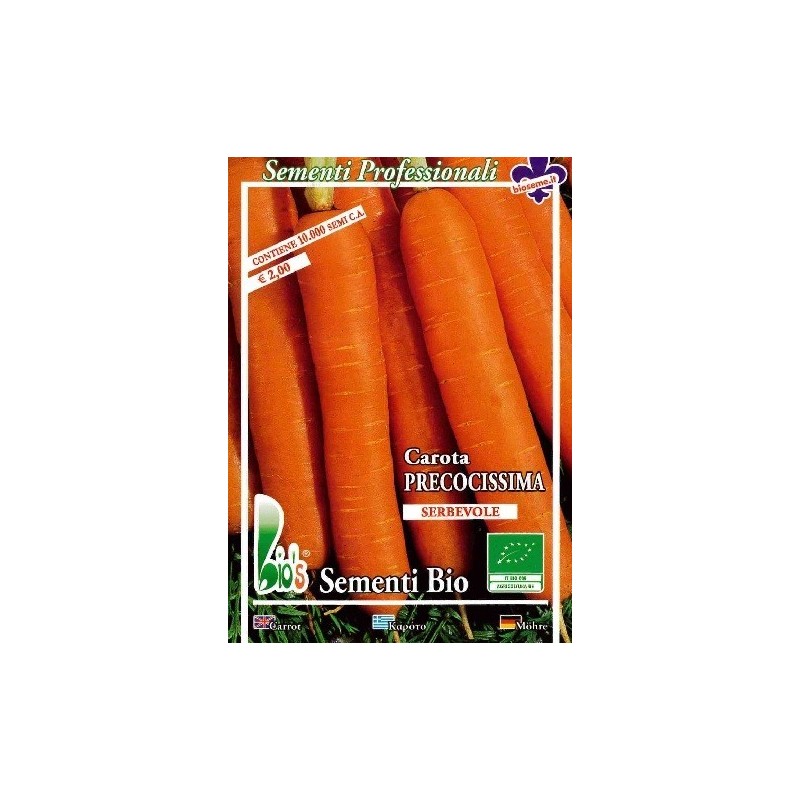 zanahoria touchon (semillas ecolÃ³gicas)