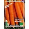 zanahoria touchon (semillas ecolÃ³gicas)