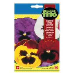 pensamiento gigante suizo variado