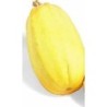 calabaza espagueti - semillas no tratadas