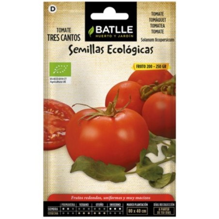 tomate tres cantos - semillas ecolÃ³gicas