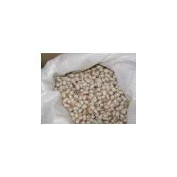 semillas de alubia ojo de la virgen