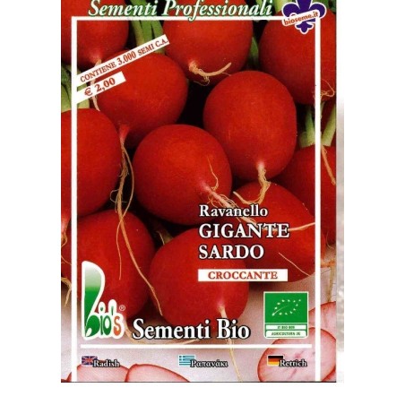 rabanito gigante sardo (semillas ecolÃ³gicas)