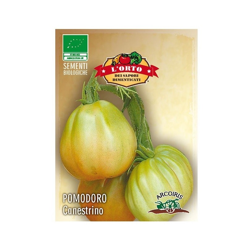 tomate canestrino (semillas ecolÃ³gicas Arcoiris)
