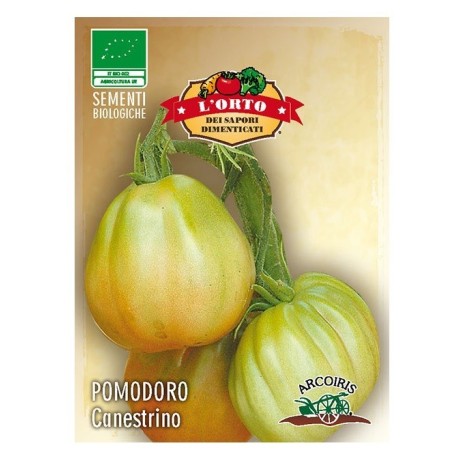 tomate canestrino (semillas ecolÃ³gicas Arcoiris)