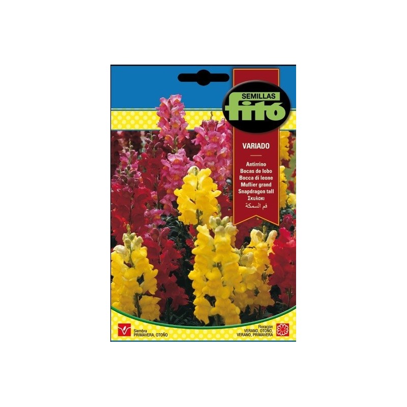 antirrino conejitos variado