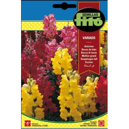 antirrino conejitos variado