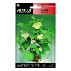 algodÃ³n ornamental (gossypium herbaceum)