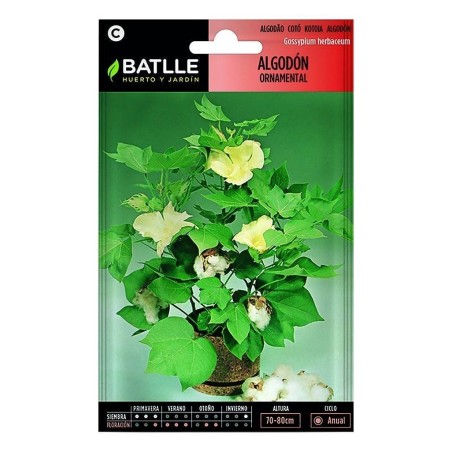 algodÃ³n ornamental (gossypium herbaceum)