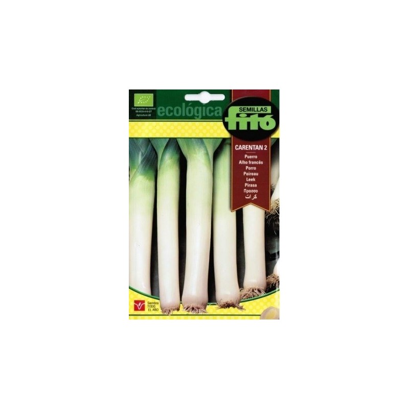 puerro carentan 2 - semillas ecolÃ³gicas
