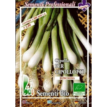 cebolla blanca de Lisboa (semillas ecologicas)