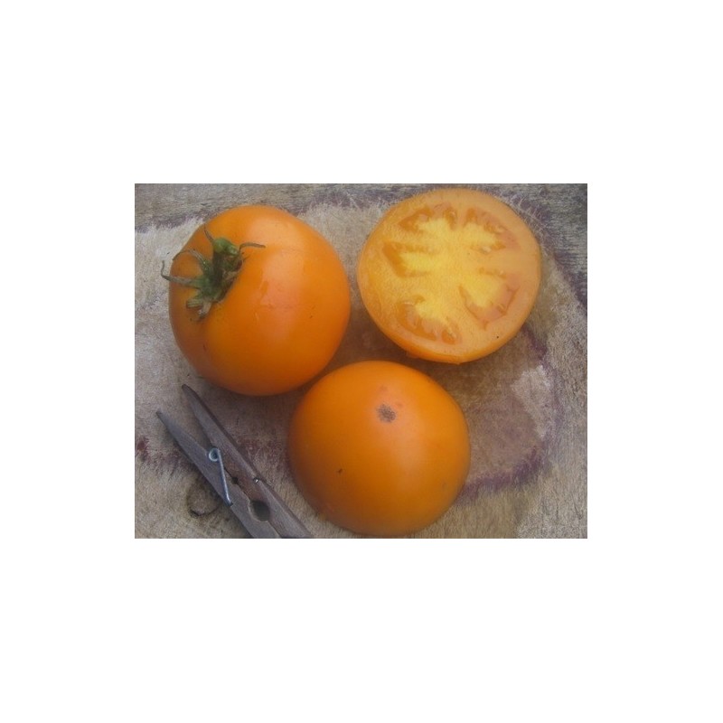 tomate earl of edgecombe (semillas ecolÃ³gicas)
