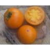 tomate earl of edgecombe (semillas ecolÃ³gicas)