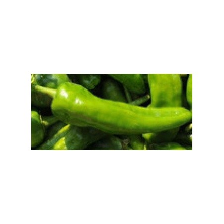 pimiento mallorquÃ­n