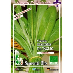 achicoria spadona - semillas ecolÃ³gicas