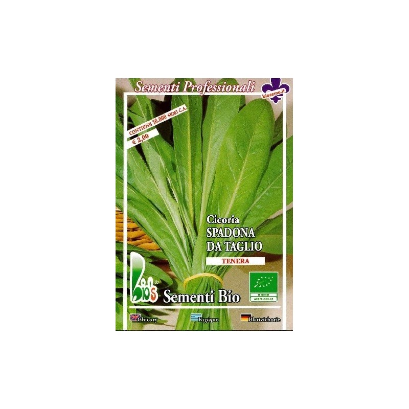 achicoria spadona - semillas ecolÃ³gicas