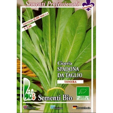 achicoria spadona - semillas ecolÃ³gicas