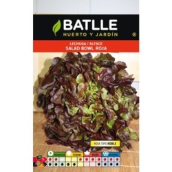 lechuga salad bolw rossa